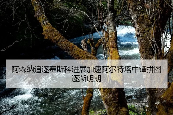 阿森纳追逐塞斯科进展加速阿尔特塔中锋拼图逐渐明朗