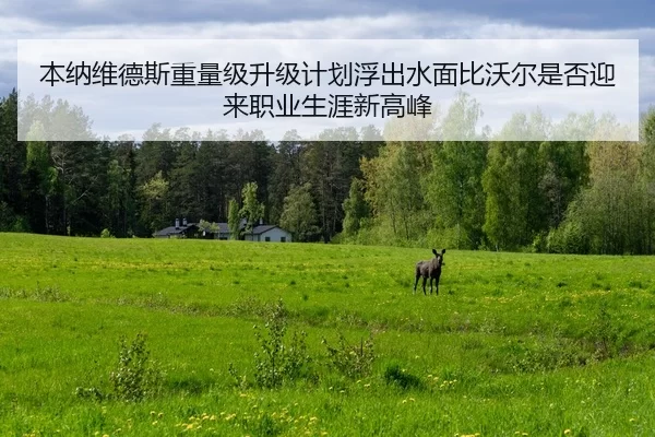 本纳维德斯重量级升级计划浮出水面比沃尔是否迎来职业生涯新高峰