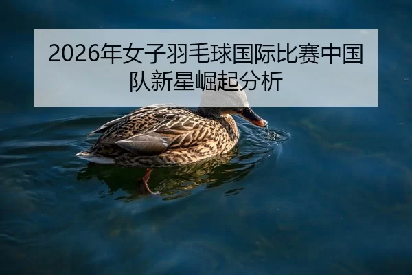 nian-nv-zi-yu-mao-qiu-guo-ji-bi-sai-zhong-guo-dui-xin-xing-jue-qi-fen-xi-2-608.jpg