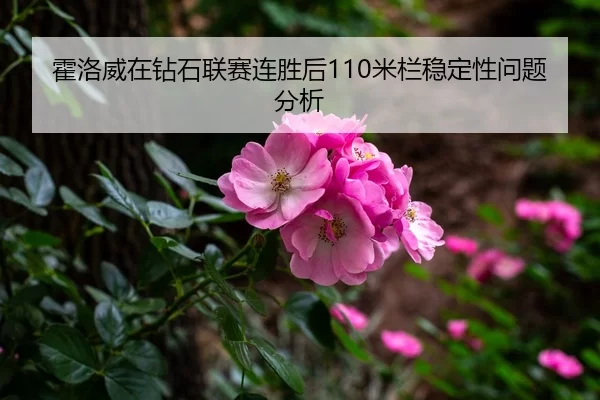 霍洛威在钻石联赛连胜后110米栏稳定性问题分析