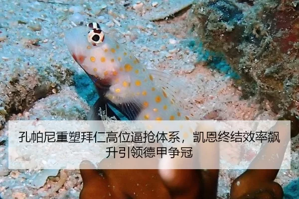 孔帕尼重塑拜仁高位逼抢体系，凯恩终结效率飙升引领德甲争冠