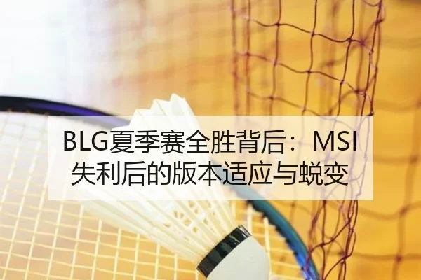 BLG夏季赛全胜背后：MSI失利后的版本适应与蜕变