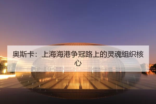 ao-si-ka-shang-hai-hai-gang-zheng-guan-lu-shang-de-ling-hun-zu-zhi-he-xin-3-291.jpg
